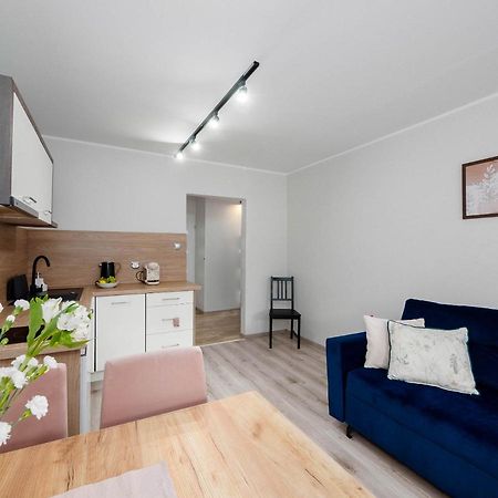 Best Choice 2-Bedroom Apartment Płock Εξωτερικό φωτογραφία