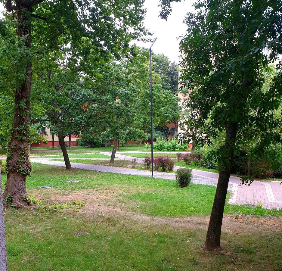 Best Choice 2-Bedroom Apartment Płock Εξωτερικό φωτογραφία