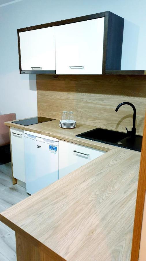Best Choice 2-Bedroom Apartment Płock Εξωτερικό φωτογραφία